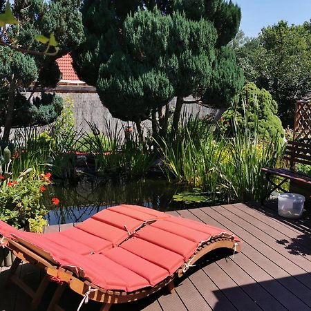 Ferienhaus Mit Mediterraner Terrasse Müllrose Exteriér fotografie